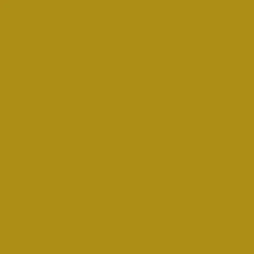 Image of RAL 085 60 60 Paint