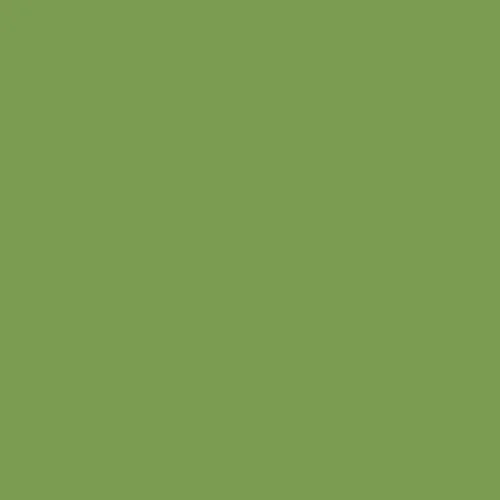 Image of RAL 120 60 40 Paint