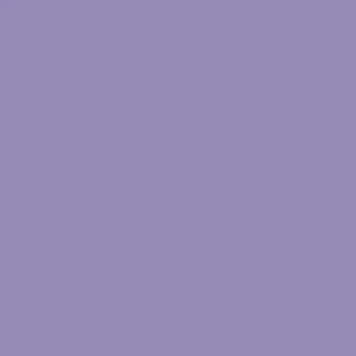 Image of RAL 300 60 25 Paint