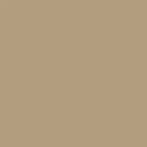 Image of RAL Effect 140-m - Champagne Paint
