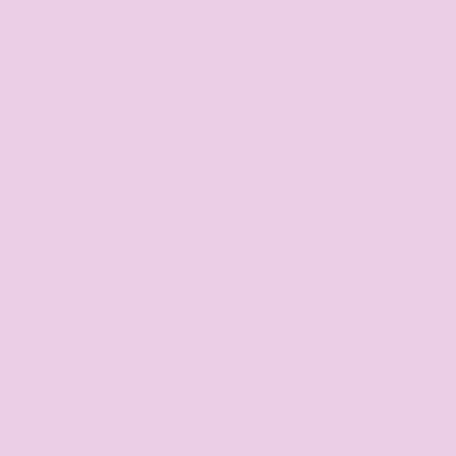 Image of Ncs S 0520-r40b Paint