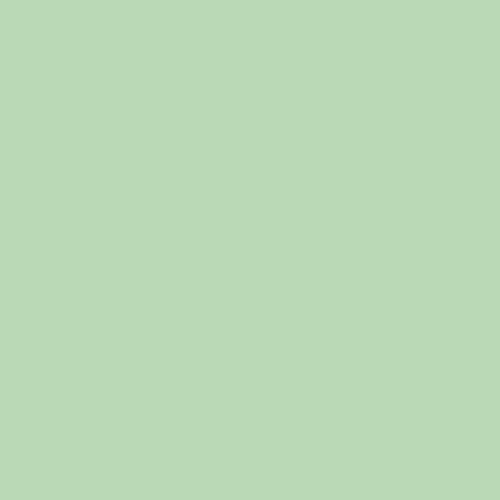Image of Ncs S 1020-g20y Paint