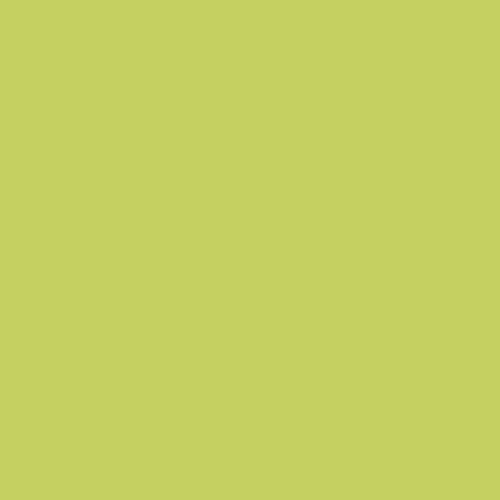 Image of Ncs S 1050-g60y Paint