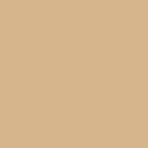 Image of Ncs S 2020-y30r Paint