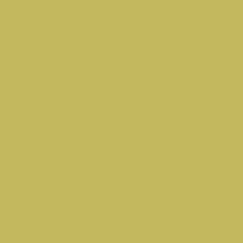 Image of Ncs S 2040-g80y Paint