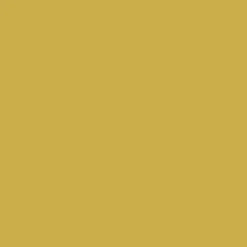 Image of Ncs S 2050-y Paint