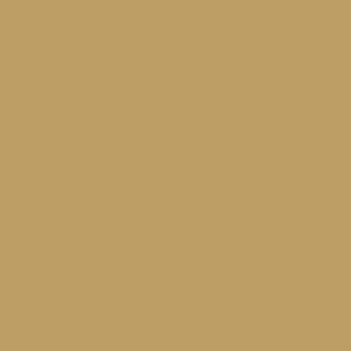 Image of Ncs S 3030-y10r Paint