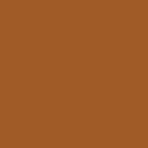 Image of Ncs S 4050-y40r Paint