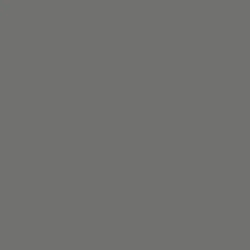 Image of Ncs S 6000-n Paint