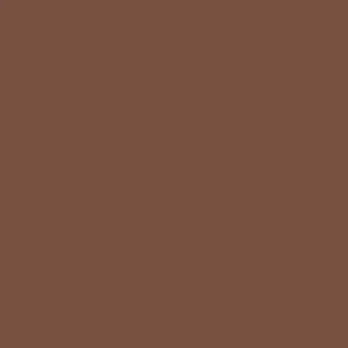 Image of Ncs S 6020-y60r Paint
